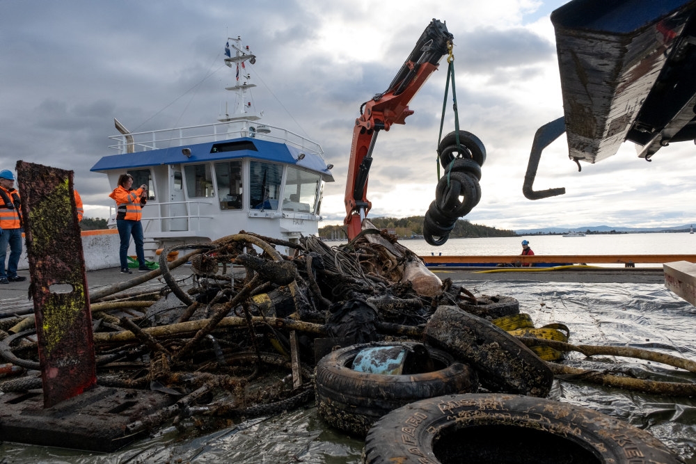 Cleaning the fjord